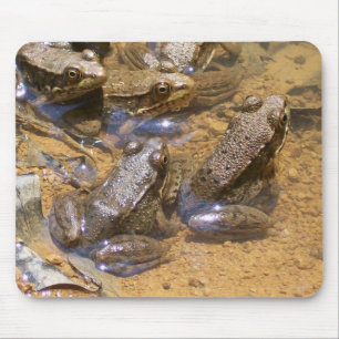 Mousepad almofada do sapo