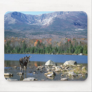 Mousepad Almofada dos alces