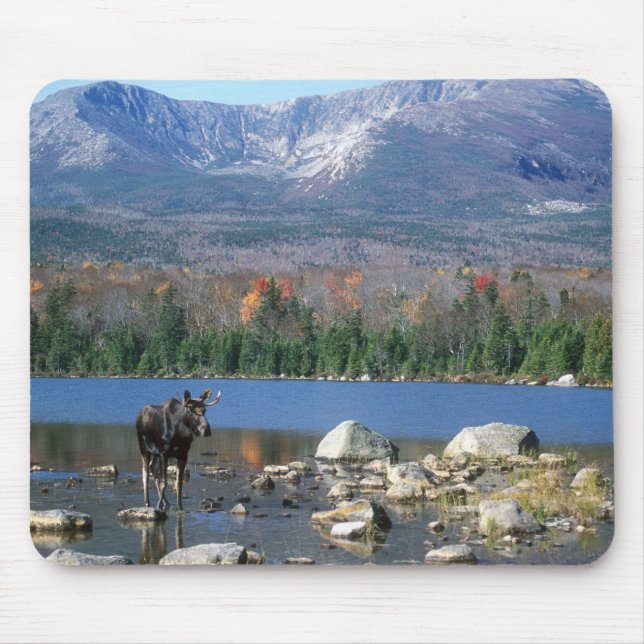 Mousepad Almofada dos alces (Frente)