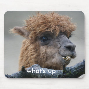 Mousepad Alpaca