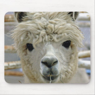 Mousepad Alpaca Adorável