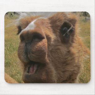 Mousepad Alpaca Chipper
