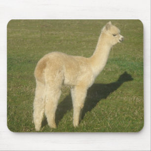 Mousepad Alpaca da jovem corça