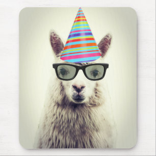 Mousepad Alpaca nos vidros e no chapéu do partido