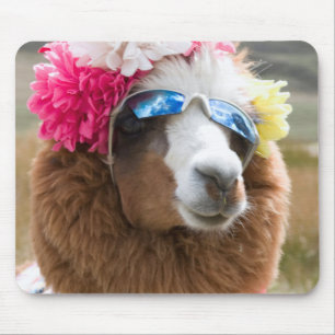 Mousepad Alpaca, Pachacoto, Cordilheira Branca, Ancash
