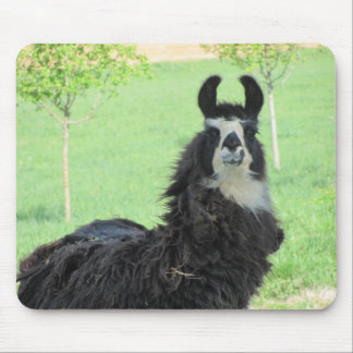 Mousepad Alpaca, tapete do rato do lama