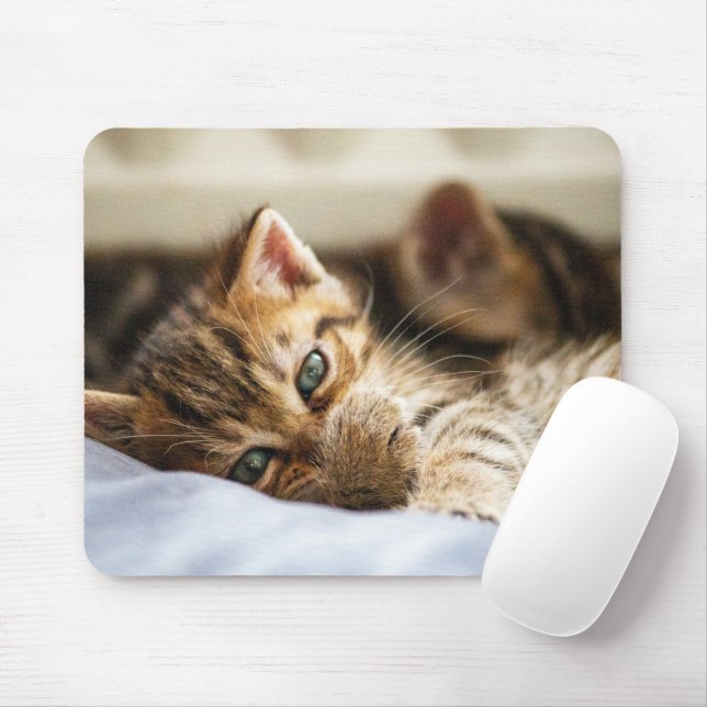 Mousepad Amantes de Gatos (Com mouse)