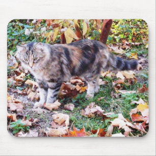 Mousepad Amantes de Gatos Foto de Gato de Outono