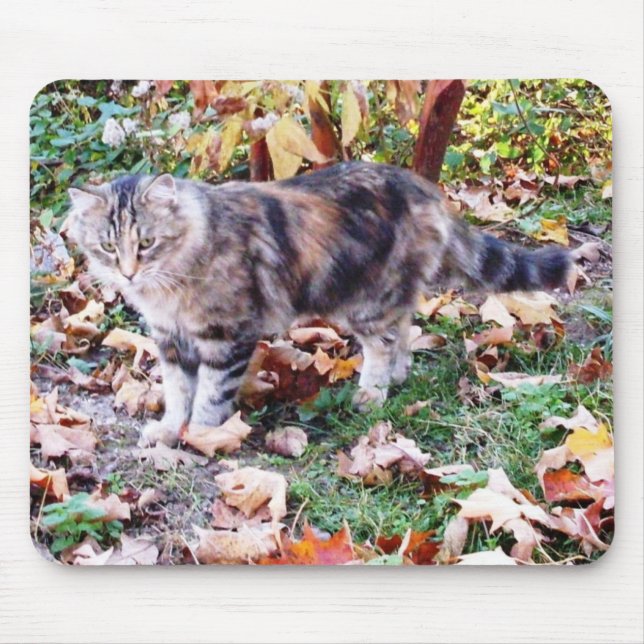 Mousepad Amantes de Gatos Foto de Gato de Outono (Frente)