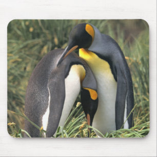 Mousepad Amantes dos pinguins de rei