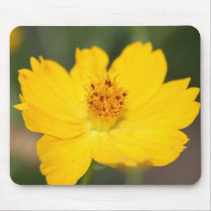 Mousepad Amarelo