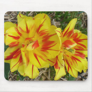 Mousepad Amarelo com Flor Vermelho Stripe