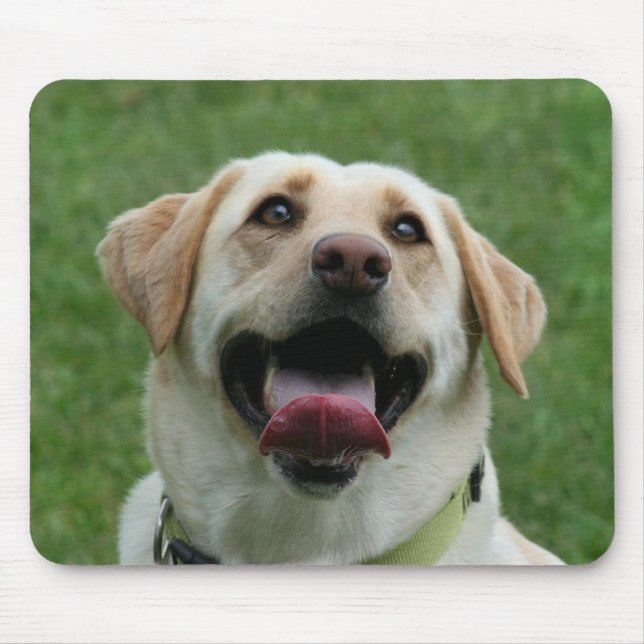 Mousepad amarelo de Labrador (Frente)