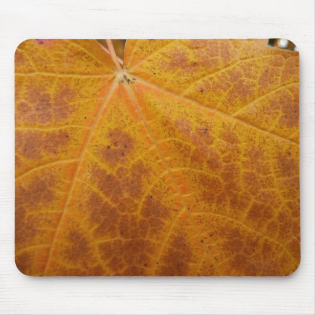 Mousepad Amarelo Mapeador Folha de outono Natureza Abstrato (Frente)