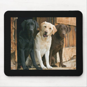 Mousepad Amarelo, Preto, Labrador Castanho Retriever Mousep