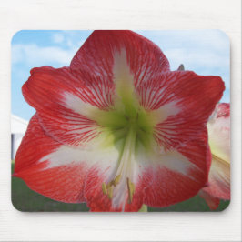 Mousepad Amaryllis vermelho e branco MegaStar