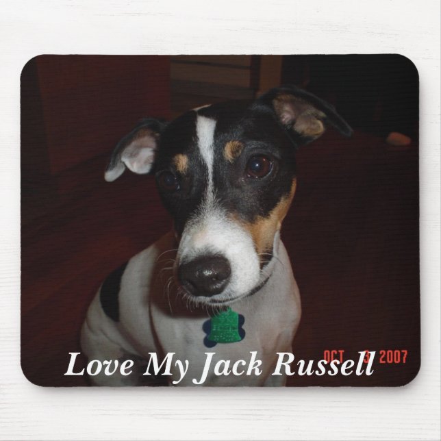 Mousepad Ame meu Jack Russell (Frente)