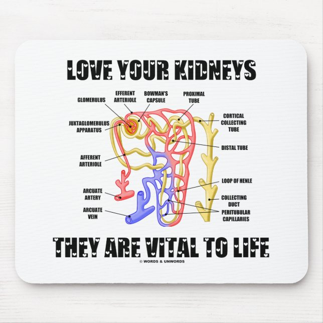 Mousepad Ame seus rins que são vitais à vida (Nephron) (Frente)