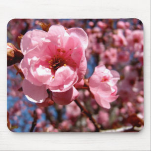 Mousepad Ameixa de florescência