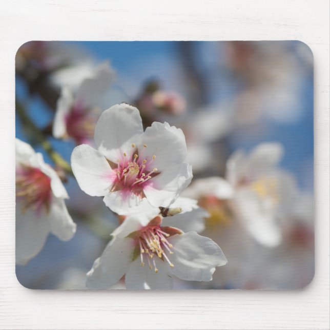Mousepad Amêndoa florescendo (Frente)
