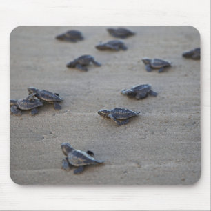 Mousepad América Central, El Salvador, Oceano Pacífico