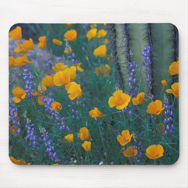 Mousepad América do Norte, EUA, Arizona, Cactus do Cano de  (Frente)