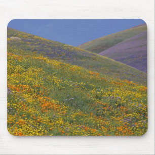 Mousepad América do Norte, EUA, Califórnia, Los Angeles