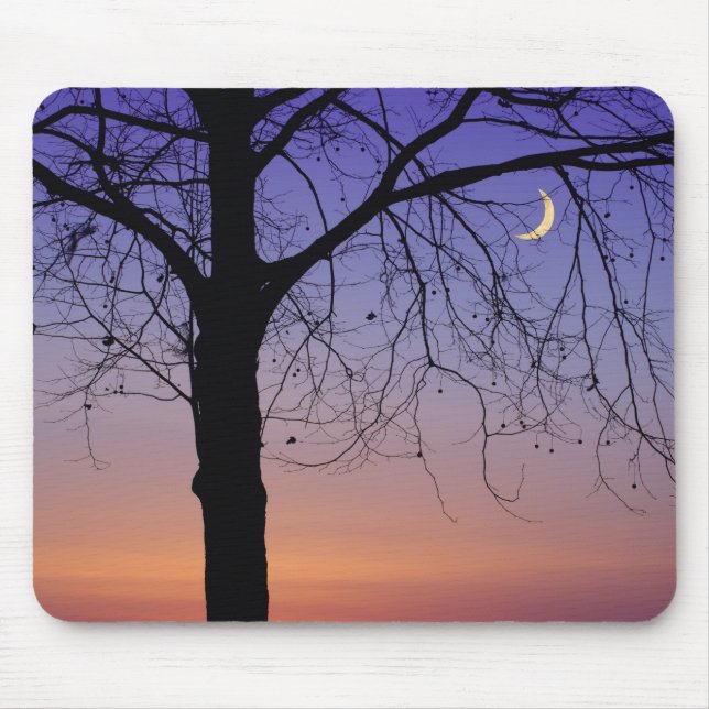 Mousepad América do Norte, EUA, Flórida, Mt. Dora, o (Frente)