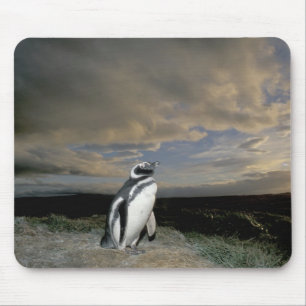 Mousepad América do Sul, Chile, Patagônia, Magellanes,