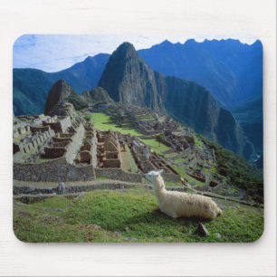 Mousepad América do Sul, Peru. Uma lhama descansa em uma co