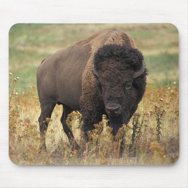 Mousepad American bison (Frente)