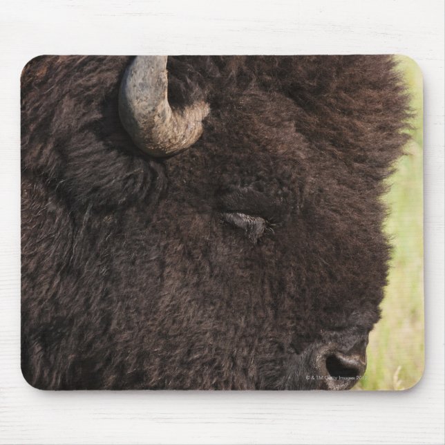 Mousepad American Bison, Dakota do Sul (Frente)