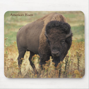 Mousepad American Bison no Range