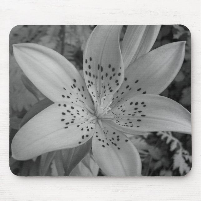 Mousepad American Tiger Lily (Frente)