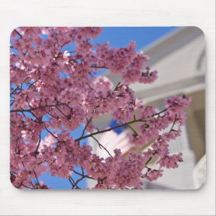 Mousepad Americana Sakura Cherry Blossoms