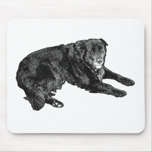 Mousepad Amigo de Trabalho e Musa Sorridente