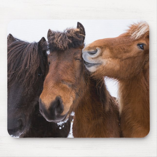 Mousepad Amigos do Cavalo Islandês, Islândia (Frente)
