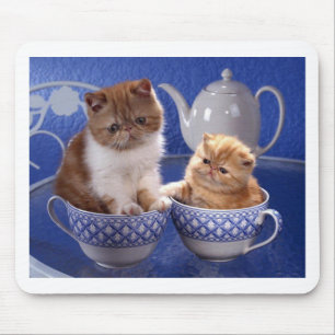 Mousepad amizade animal