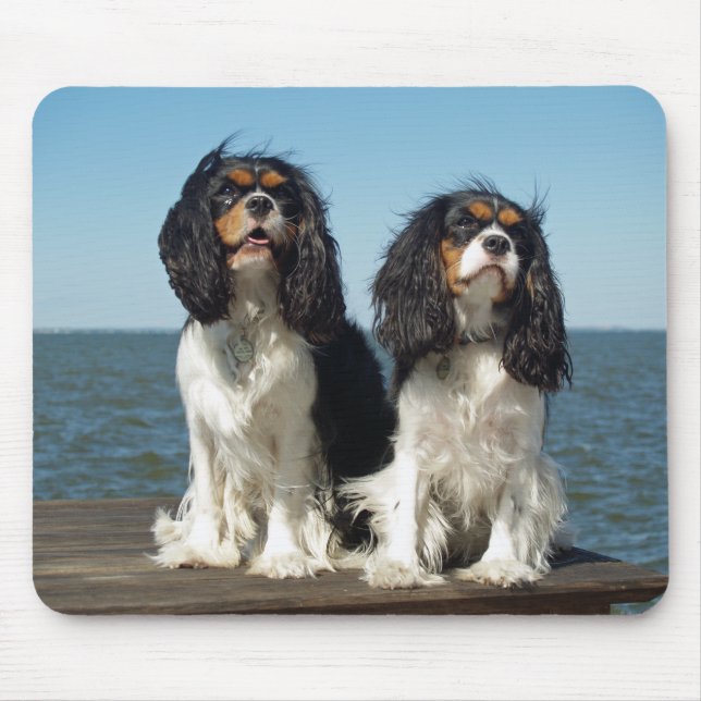 Mousepad Amo Cachorro do Cavalier King Charles Spaniel Mous (Frente)