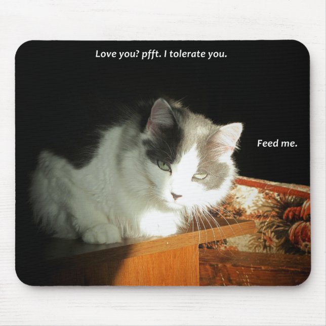 Mousepad Amo-te? Eu Tolero Você (Frente)