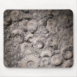Mousepad Amonites