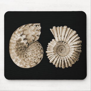 Mousepad Amonites