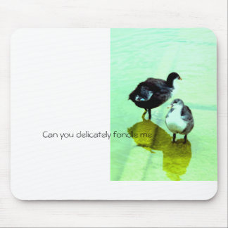 Mousepad amor, água e nós vivemos