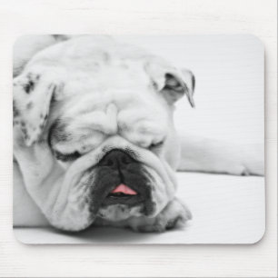 Mousepad Amor branco do buldogue