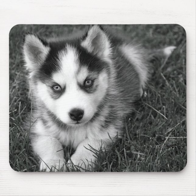 Mousepad Amor Cabelo Irlandês Cachorro Mocinho (Frente)