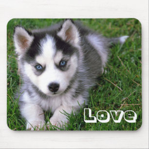 Mousepad Amor Cabelo Irlandês Cachorro Mocinho