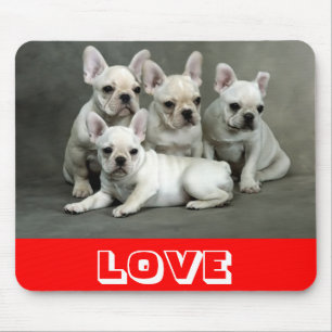 Mousepad Amor Cachorro Cachorro Cachorro Mocinho