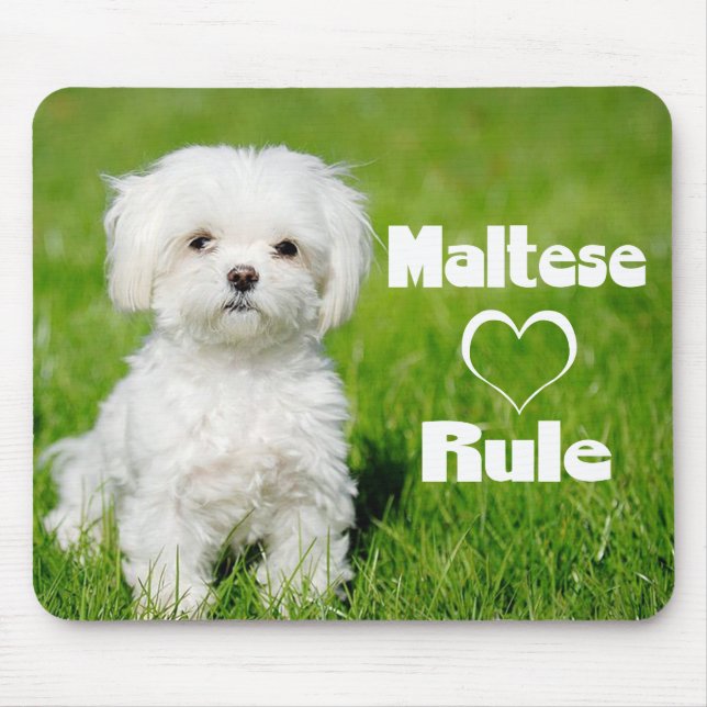 Mousepad Amor com Cão-de-Capoeira Branco Maltês (Frente)