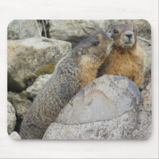 Mousepad Amor da marmota