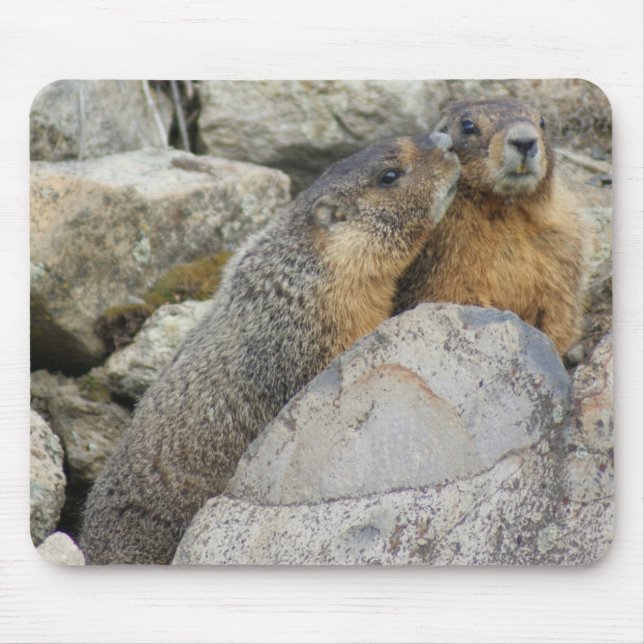 Mousepad Amor da marmota (Frente)
